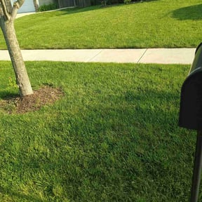 grass cutting by Pristine Properties LHS reviewed on April 24, 2024