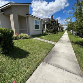 lawn care services by NEW CREATION LAWN PROFESSIONALS reviewed on March 21, 2024