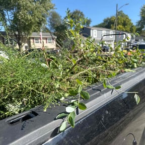 Flower Bed Weeding by Lawn Pro grounds management reviewed on October 22, 2025