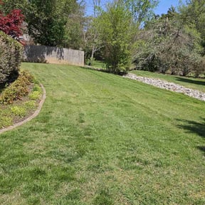 grass cutting by Rayos landscaping reviewed on May 2, 2024