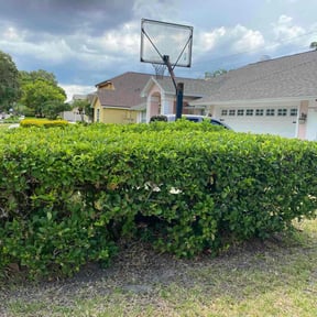 Bush Trimming by Patton Commercial LLC reviewed on August 21, 2025