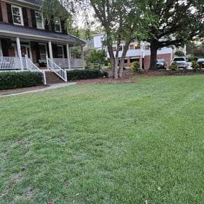 landscaping services by A1-LAWN CARE reviewed on November 24, 2025
