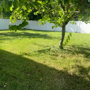 grass cutting by Pro Tek Enterprise LLC reviewed on August 21, 2025