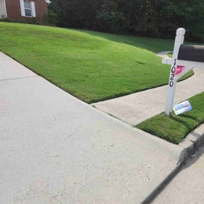 grass maintenance by Royal Grounds Lawn Care LLC reviewed on August 21, 2025