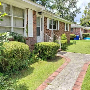 Bush Trimming by Green mile lawncare reviewed on August 20, 2025