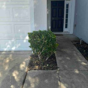 Bush Trimming by Juan Rodriguez reviewed on January 4, 2026