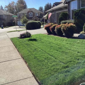 yard care by BBL Services reviewed on August 15, 2025