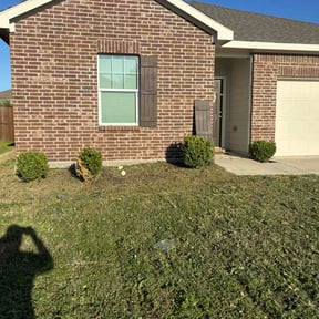 Bush Trimming by Nickys lawn care services reviewed on March 24, 2026