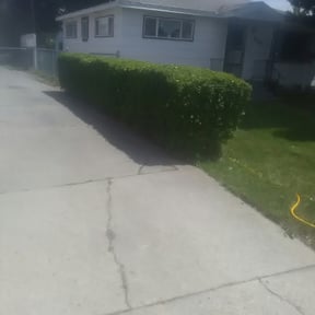 Bush Trimming by Platinum Lawns and Landscaping reviewed on August 18, 2025