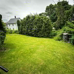 grass cutting by Crowder's lawn care reviewed on May 8, 2024