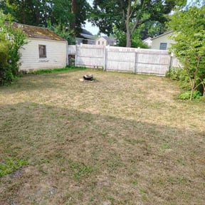 Bush Trimming by Lawn2care reviewed on March 24, 2026