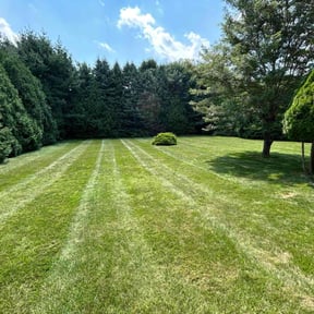 lawn service by D'andre Antrion Covington reviewed on April 17, 2024