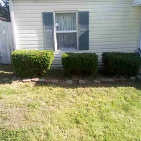 Bush Trimming by Lead The Wash LLC reviewed on May 8, 2026