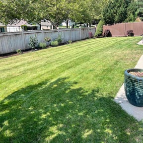 turf care by Tim's lawn trims reviewed on May 1, 2025