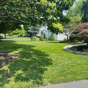 landscaping by Joe and sons lawn care reviewed on August 19, 2025