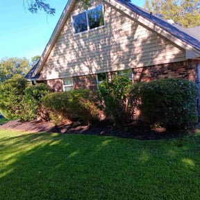 Bush Trimming by Scipio landscaping and maintenance reviewed on August 17, 2025