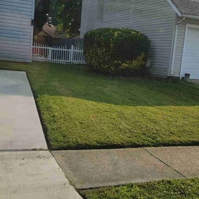Bush Trimming by Pure Perfection Lawn care reviewed on August 15, 2025