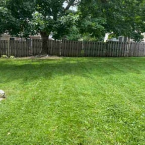 lawn maintenance by Motivational Landscaping reviewed on March 11, 2024