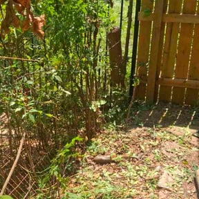 Bush Trimming by Oak Landscaping reviewed on November 8, 2025