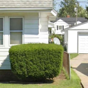 Bush Trimming by Klean kuts lawn care n pressure washing services  reviewed on November 20, 2025