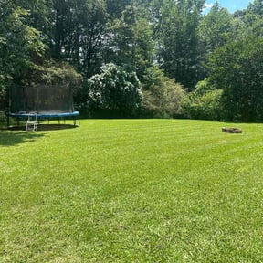 yard work by RJ HOME AN LAWN MAINTNENANCE reviewed on August 19, 2025