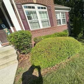 Bush Trimming by Dynamic.Organics reviewed on August 17, 2025