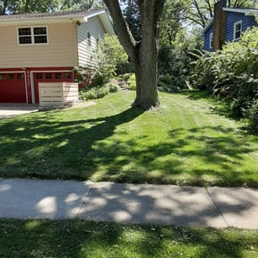 yard maintenance by Tropical Greenscape reviewed on August 15, 2025