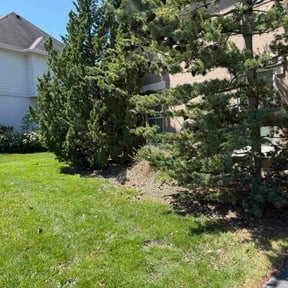 Flower Bed Weeding by Venerable Lawn Care LLC reviewed on May 13, 2026