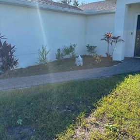 Flower Bed Weeding by MOG&amp;L reviewed on November 20, 2025