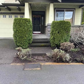 Bush Trimming by Southside Property Services LLC reviewed on February 4, 2026