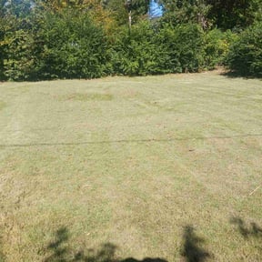 Leaf Removal by CJWV Grass Company reviewed on September 8, 2025