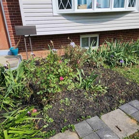 Bush Trimming by Christian Brothers Maintenance reviewed on August 19, 2025