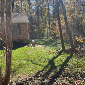 Leaf Removal by BG landscaping reviewed on November 23, 2025