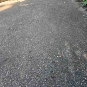 Leaf Removal by Lucky Lawn reviewed on September 16, 2025