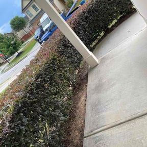 Bush Trimming by Jett Lawn Service reviewed on August 16, 2025