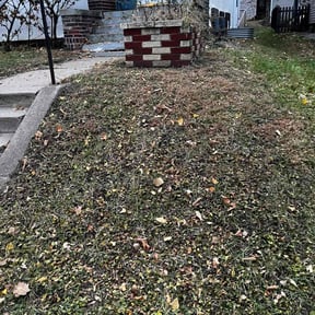 Leaf Removal by BBCNP Services reviewed on November 20, 2025