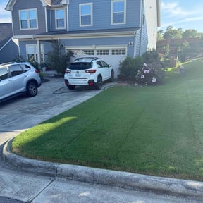 Lawn Treatment by  reviewed on October 29, 2025