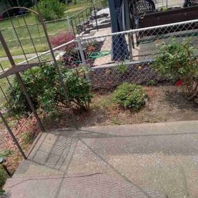 Bush Trimming by J&M landscaping and lawncare reviewed on August 17, 2025