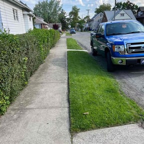 gardening service by Evan's Lawncare reviewed on August 16, 2025