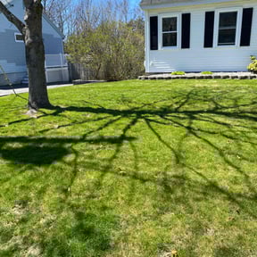 yard care by Dreng Services reviewed on August 19, 2025