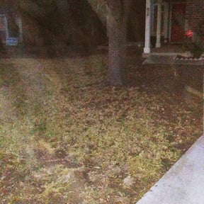 Leaf Removal by J&amp;R Lawncare &amp; Maintenance reviewed on September 28, 2025