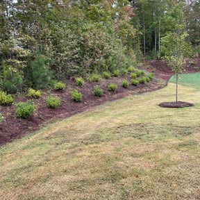Flower Bed Weeding by Sunny Carolina lawncare services llc reviewed on August 20, 2025