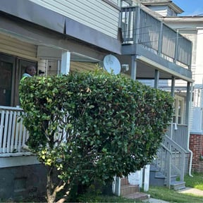 Bush Trimming by J Jr’s Lawn Maintenance reviewed on August 20, 2025