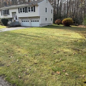 Leaf Removal by Punchlistteam reviewed on November 23, 2025