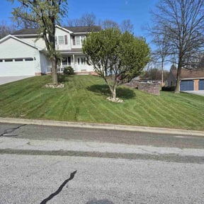 turf maintenance by Treadstone Lawn Care reviewed on August 8, 2024