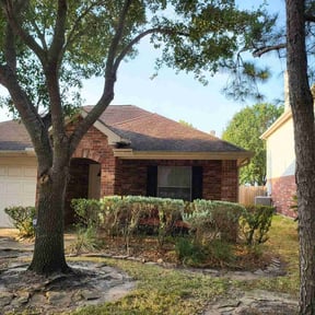 Bush Trimming by Elite Mowers LLC reviewed on July 9, 2025