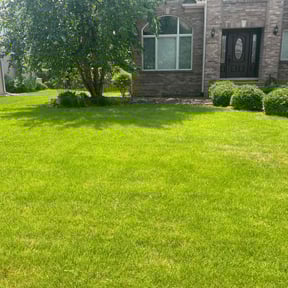 residential landscaping by TWL-Service reviewed on August 21, 2025