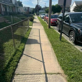 turf care by Triple H Services LLC reviewed on April 20, 2024