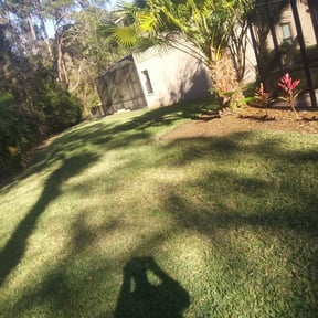 Bush Trimming by Snow Harvester reviewed on August 19, 2025