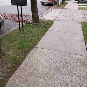 Leaf Removal by LD Brown Landscaping And Pressure Washing reviewed on November 24, 2025